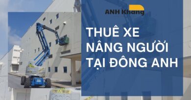 gp 11 thue xe nang nguoi tai dong anh tn
