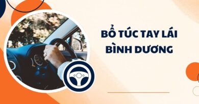 gp 8 bo tuc tay lai binh duong thumb