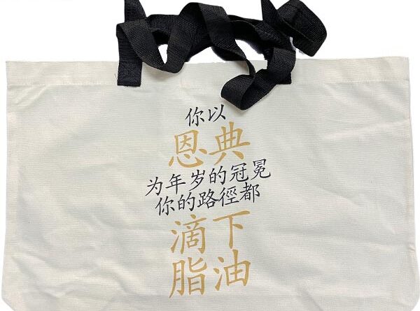 cb 17 large cotton canvas bags 02 a