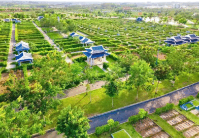 Khi Nghĩa Trang Cũng Có Thể Trở Thành Điểm Du Lịch