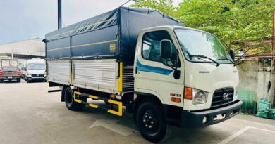 gia lan banh hyundai w11s thung bat