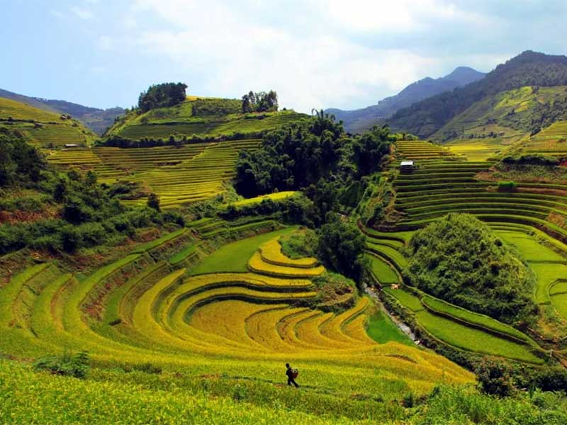 Khám phá những địa điểm nổi tiếng ở Thanh Hóa mà ít ai biết tới Khám phá những địa điểm nổi tiếng ở Thanh Hóa mà ít ai biết tới
