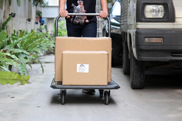 Mẹo Kéo Dài Tuổi Thọ Xe Đẩy Hàng Khi Sử Dụng Liên Tục Mỗi Ngày Mẹo Kéo Dài Tuổi Thọ Xe Đẩy Hàng Khi Sử Dụng Liên Tục Mỗi Ngày