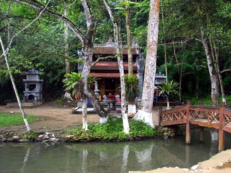 Sự thật suối cá thần ở Thanh Hóa - Sự kết hợp giữa tâm linh và thiên nhiên kỳ thú Sự thật suối cá thần ở Thanh Hóa - Sự kết hợp giữa tâm linh và thiên nhiên kỳ thú