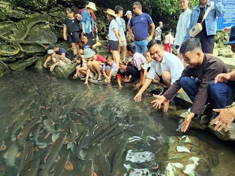 Sự thật suối cá thần ở Thanh Hóa - Sự kết hợp giữa tâm linh và thiên nhiên kỳ thú Sự thật suối cá thần ở Thanh Hóa - Sự kết hợp giữa tâm linh và thiên nhiên kỳ thú