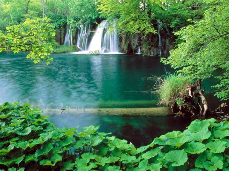 Top 7 địa điểm nổi tiếng ở Thanh Hóa “nhất định phải đi” – cảnh đẹp, ẩm thực, check-in xịn Top 7 địa điểm nổi tiếng ở Thanh Hóa “nhất định phải đi” – cảnh đẹp, ẩm thực, check-in xịn