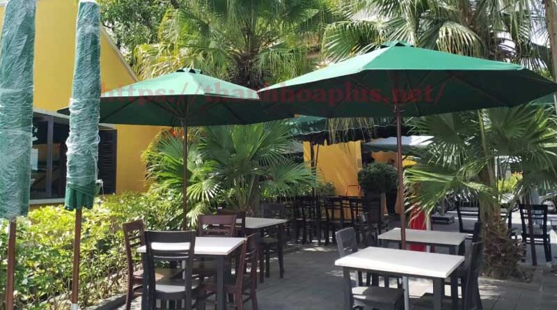 Top 10 mẫu dù che nắng quán cà phê đẹp, giá rẻ đáng mua nhất 2026 1 duchenangquancaphe4