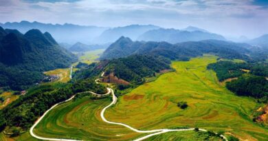 Gây Sốt: Chỉ 1 Mùa Duy Nhất Khiến Pù Luông Đẹp Kinh Ngạc – 90% Du Khách Đều Không Biết! Chỉ 1 Mùa Duy Nhất Khiến Pù Luông Đẹp Kinh Ngạc