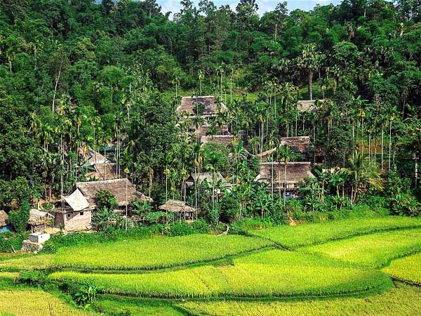 Ảnh một khu Resort ở Pù Luông - Thanh Hoá