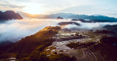 Giới thiệu về Pù Luông Thanh Hóa – Khám phá thiên đường giữa đại ngàn Giới thiệu về Pù Luông Thanh Hóa - Khám phá thiên đường giữa đại ngàn